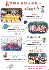 本期智囊团风采展示