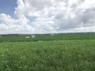 游草原天路