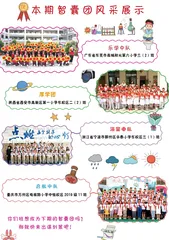 本期智囊团风采展示
