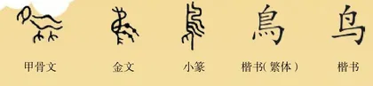 一只傲娇的“小公主”