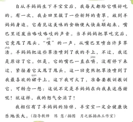 羊妈妈2