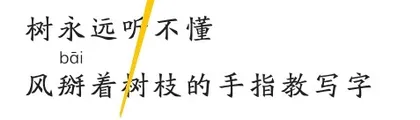 笨树