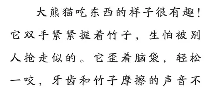有趣的大熊猫
