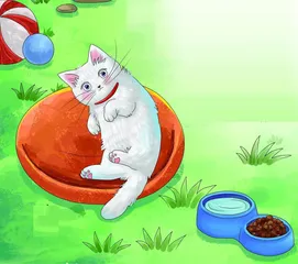 可爱的小白猫