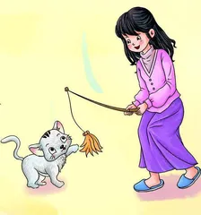 逗猫