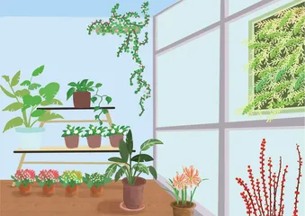 我家的“花园”