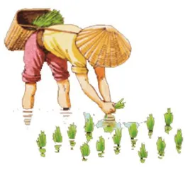 好句好段连连看