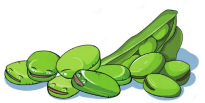 敲蚕豆3