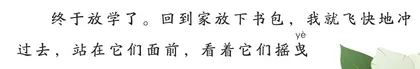 栀子花
