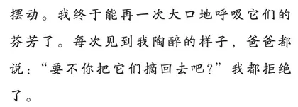 栀子花1