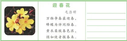 诗词中的植物朋友1