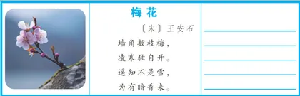 诗词中的植物朋友4