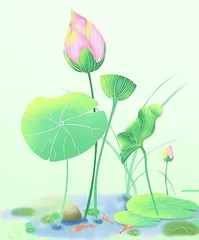 我喜欢这种花
