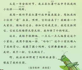 小蚂蚱