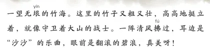 难忘的安吉之行2