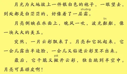 美丽的月亮1