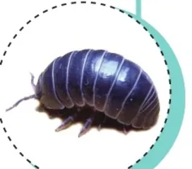 好句好段连连看1