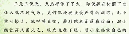 暑假，毛小熊的快乐时光