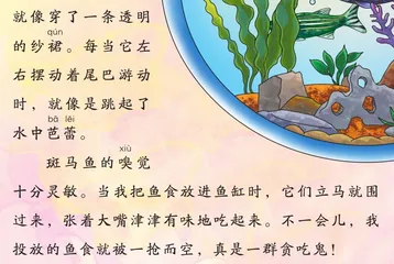 斑马鱼1