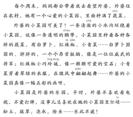 外婆的小菜园