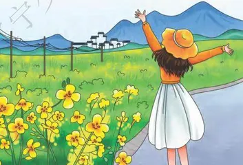 油菜花
