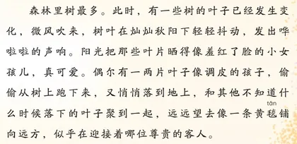 拜访秋天2
