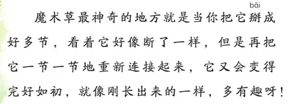 魔术草