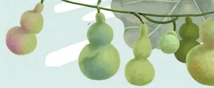 我和葫芦娃过一天1