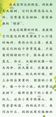路边的大榕树