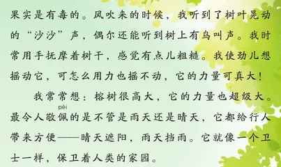 路边的大榕树1