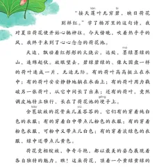 美丽的荷花池