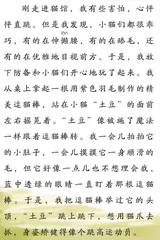 摸猫