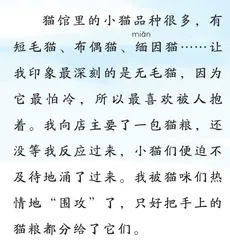 摸猫1