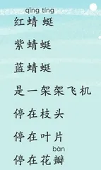 蜻蜓