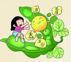 小豆子有大能量