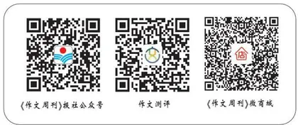 “中国蓝盔”：为世界和平出征