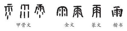 雨
