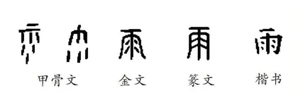 雨