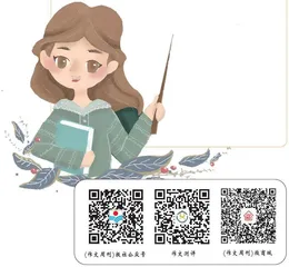 师