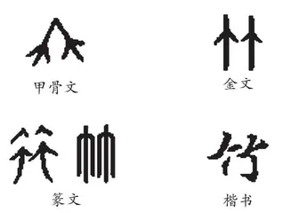 竹