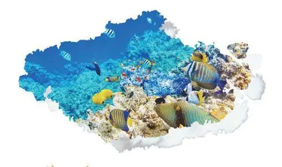《海底两万里》导读