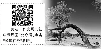 我向往树一样的人生