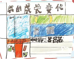 我的成长