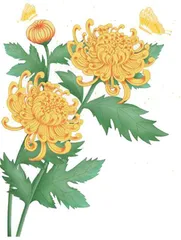菊