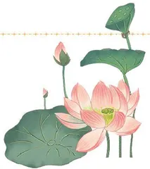 残荷不凋