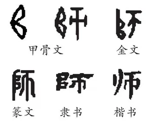 师