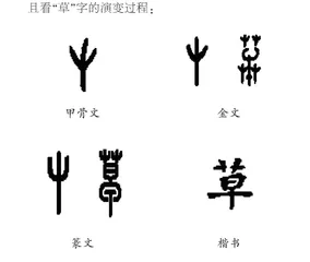 草