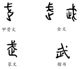 武
