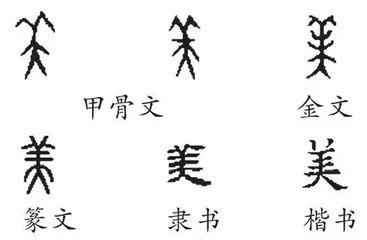 美
