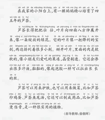 夜探自然
